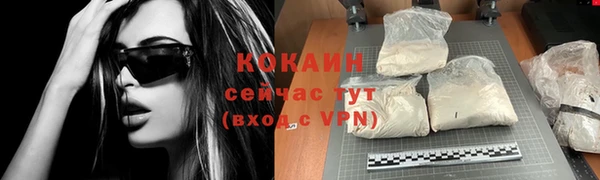 шишки Богородск