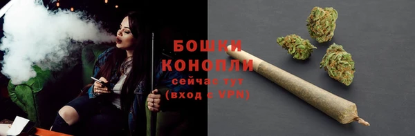 спиды Богородицк