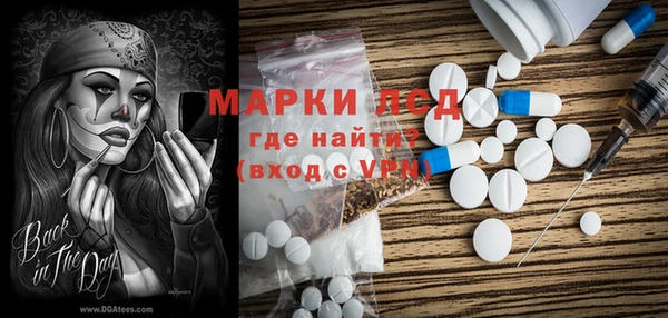 спиды Богородицк