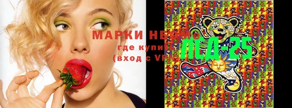 спиды Богородицк