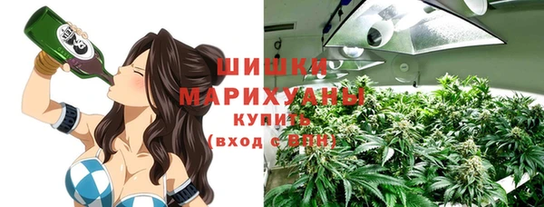 спиды Богородицк