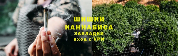 шишки Богородск