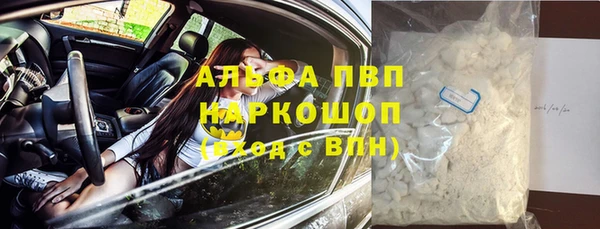 каннабис Богданович