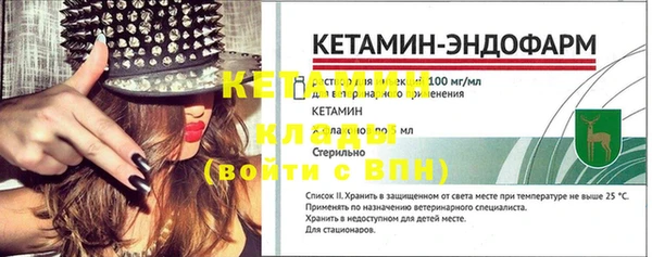 спиды Богородицк