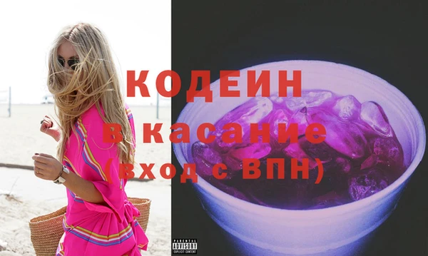 спиды Богородицк
