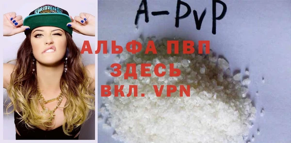 спиды Богородицк