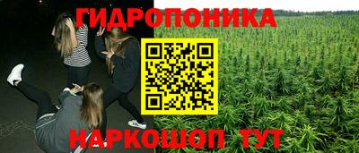 PSILOCYBIN Будённовск