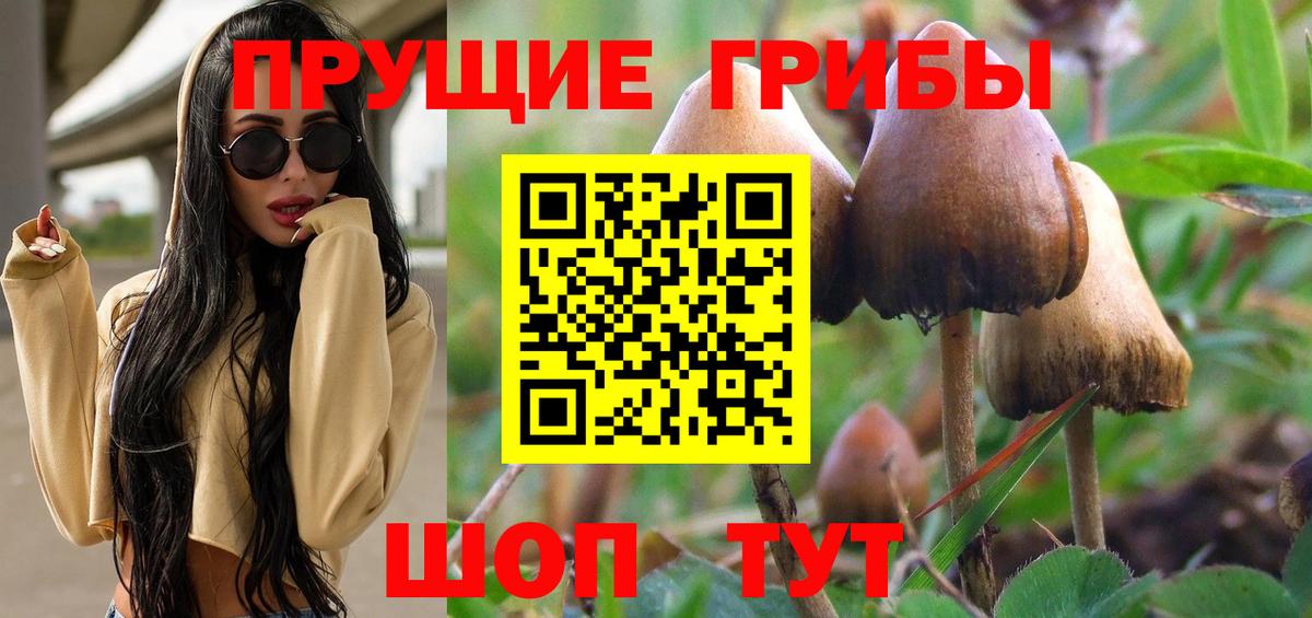 Горячий Ключ  Псилоцибиновые грибы мухоморы  Вход с VPN 