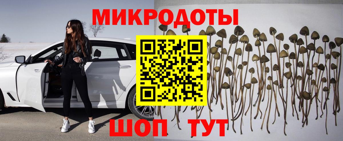 Галлюциногенные грибы мухоморы Горячий Ключ