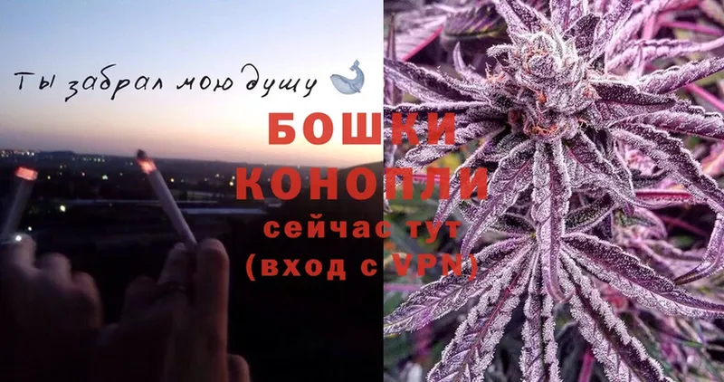 darknet официальный сайт  Горячий Ключ  Шишки марихуана Bruce Banner  мега как зайти 